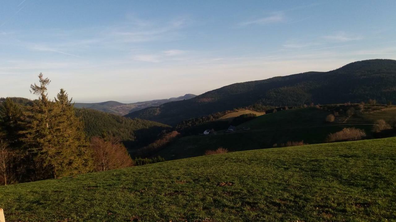 Sainte-Croix-aux-Mines Chambres D'Hotes Du Val D'Argent المظهر الخارجي الصورة